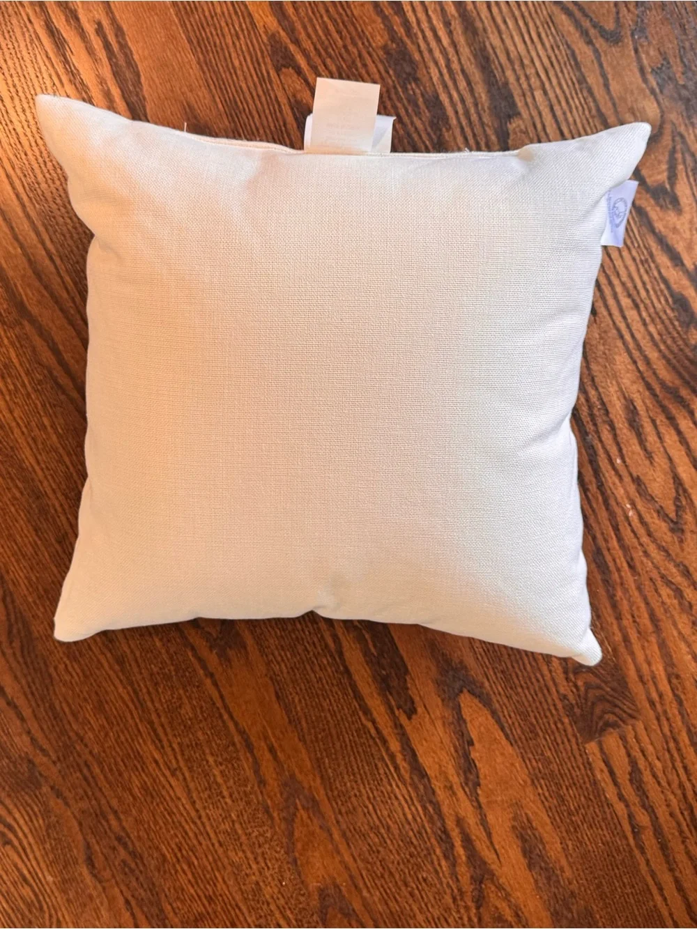 Peter Rabbit Mother & Child Blue Decorative Throw Pillow